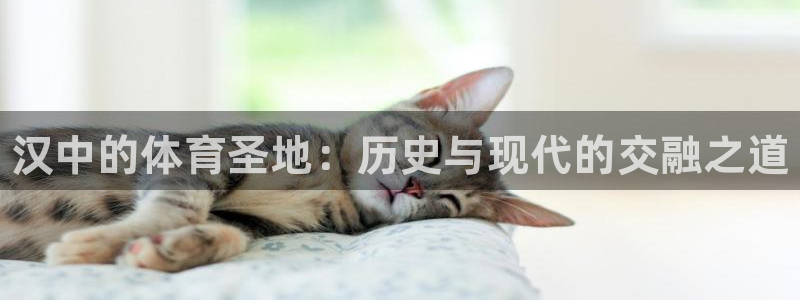 一竞技官网下载招商