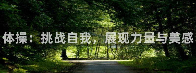 一竞技官方正版app神州