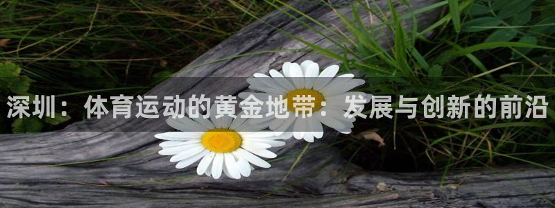 一竞技官网下载招商电话是多少啊：深圳：体育运动的黄金地带：发