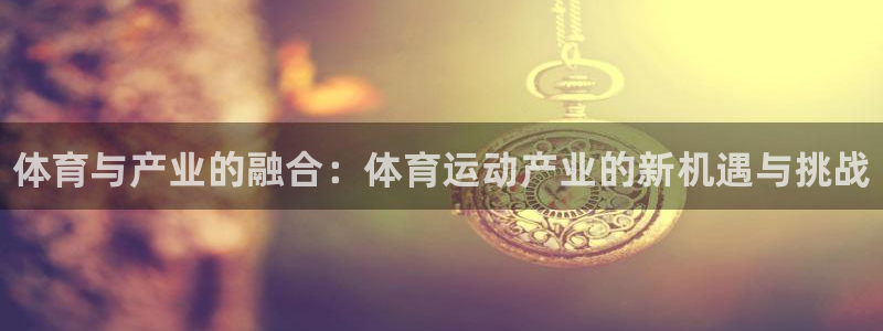 德国一竞技官方正版app集团：体育与产业的融合：体育