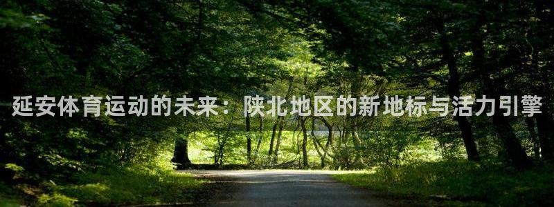 一竞技官网下载招商电话地址是多少：延安体育运动的未来