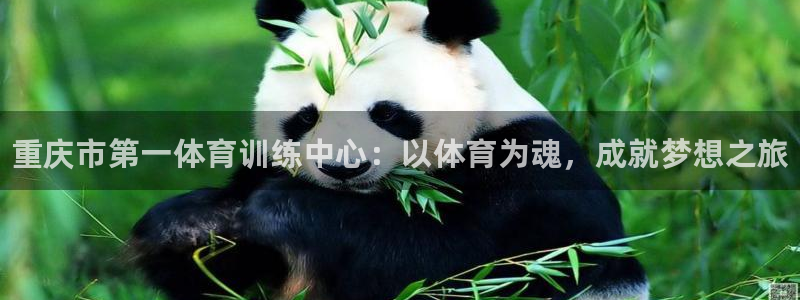 一竞技官方正版app集团：重庆市第一体育训练中心：以体育为魂