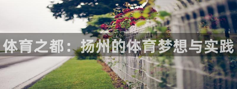 一竞技官网下载平台假的吗是真的吗：体育之都：扬州的体育梦想与