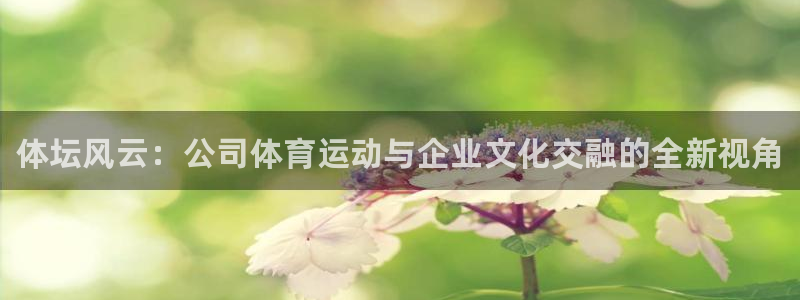 一竞技官网下载是干嘛的公司：体坛风云：公司体育运动与企业文化