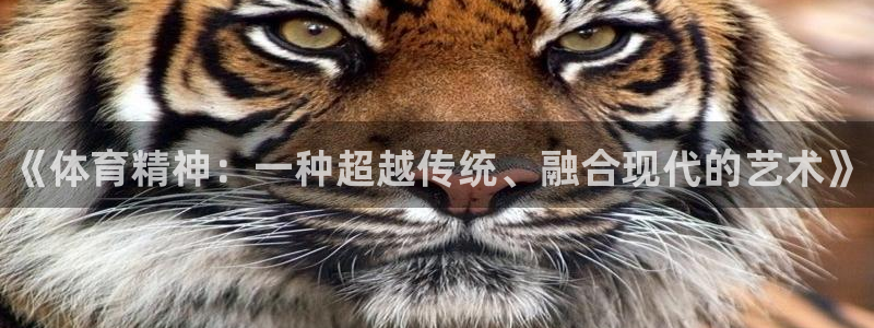 一竞技官网下载招商电话号码是多少啊：《体育精神：一种超越传统