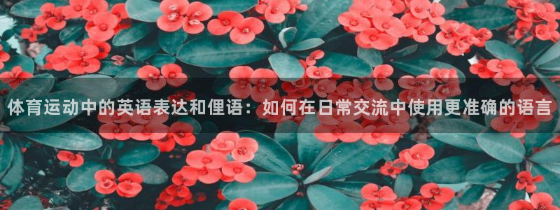 一竞技官方正版app官网：体育运动中的英语表达和俚语