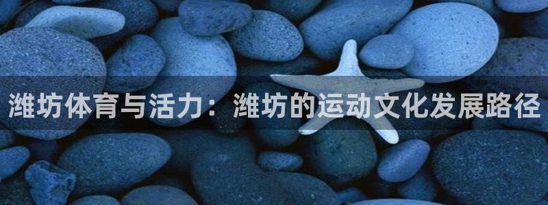 一竞技官网下载是干嘛的公司：潍坊体育与活力：潍坊的运动文化发