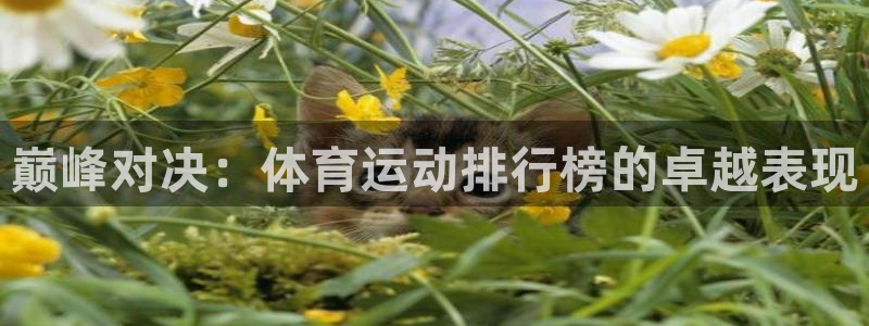 一竞技官方正版app集团官网首页：巅峰对决：体育运动