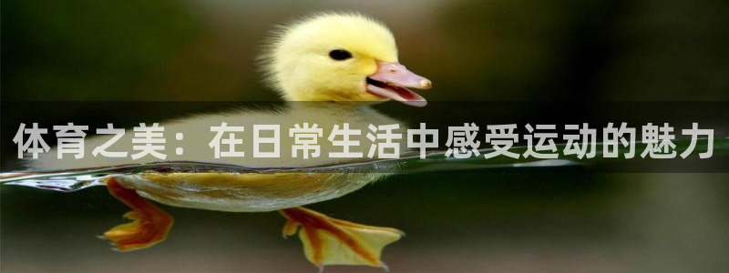 一竞技官网网页版：体育之美：在日常生
