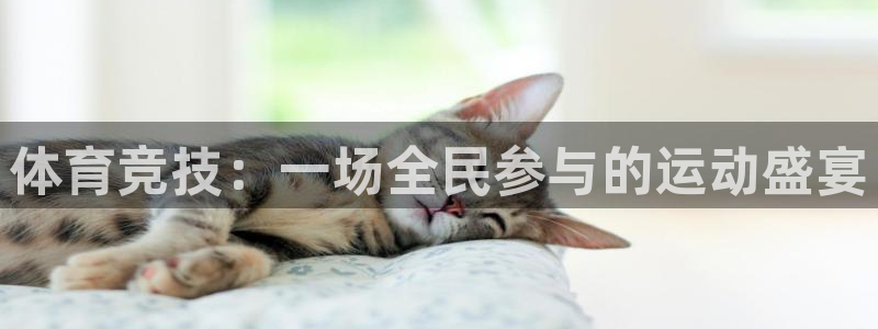 一竞技网站：体育竞技：一场全民参与的