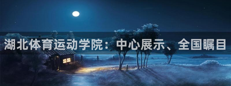一竞技网址：湖北体育运动学院：中心展