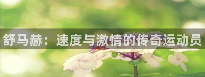 一竞技测速网站：舒马赫：速度与激情的