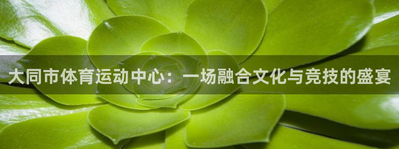 一竞技入口：大同市体育运动中心：一场