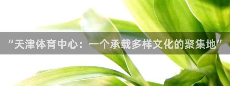 一竞技平台是正规软件吗：“天津体育中